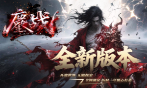 版本图片