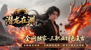 版本图片