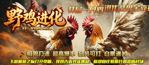 版本图片